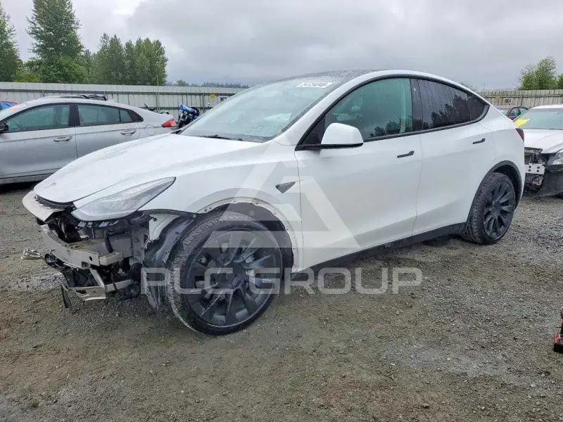 2021 Tesla Model Y photo