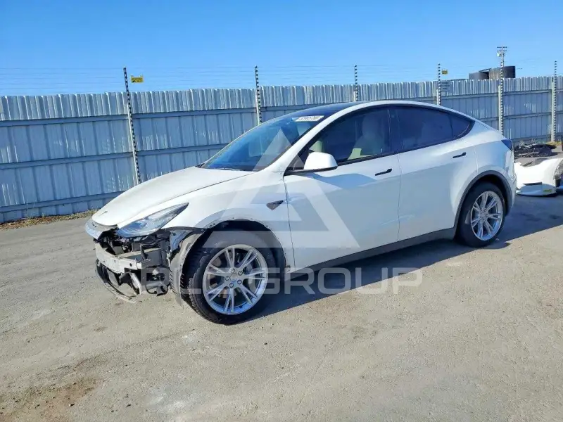 2021 Tesla Model Y фото