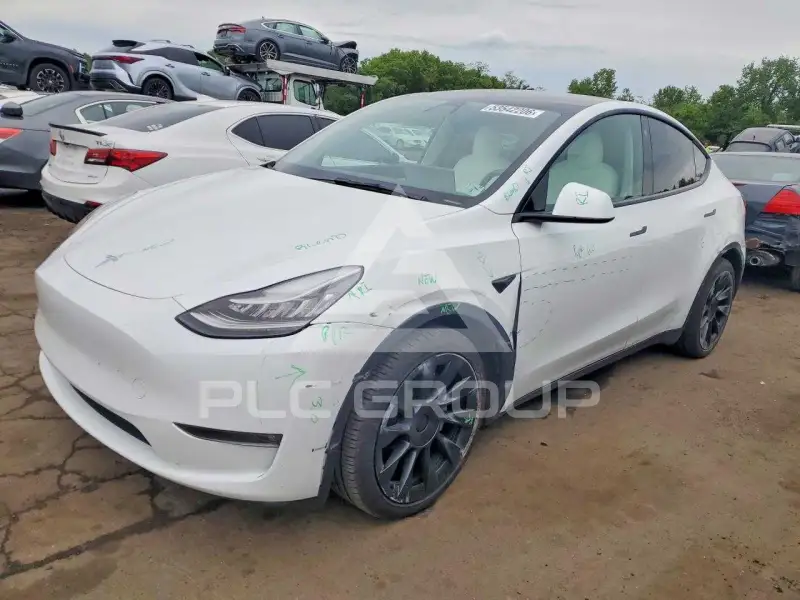 2021 Tesla Model Y фото