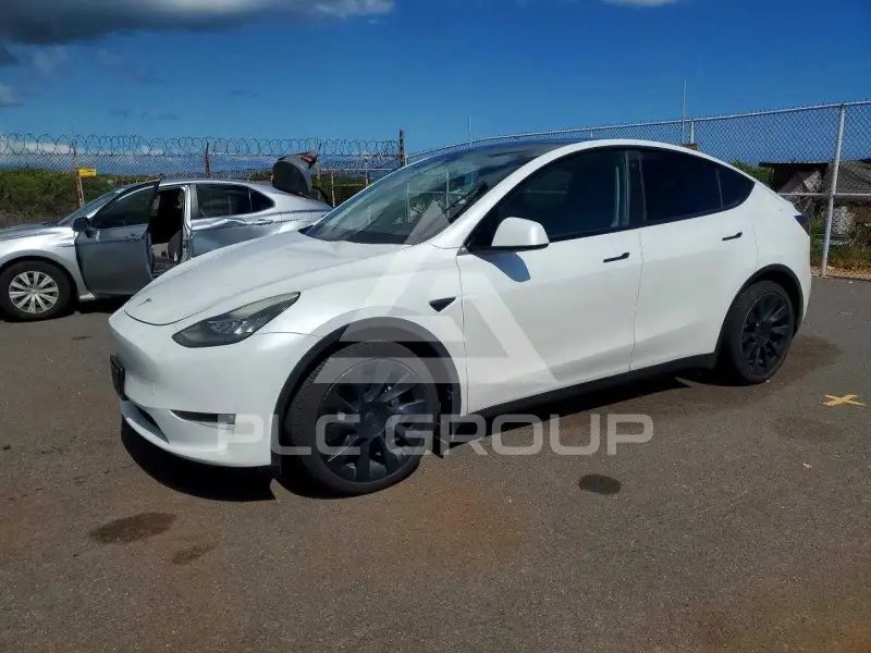 2021 Tesla Model Y фото