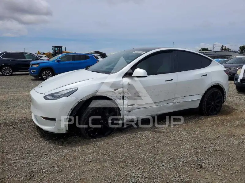 2021 Tesla Model Y фото