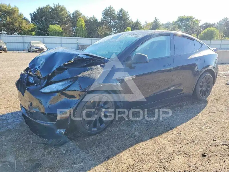 2021 Tesla Model Y photo