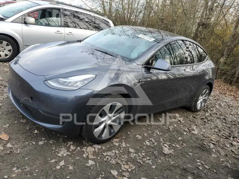 2021 Tesla Model Y photo
