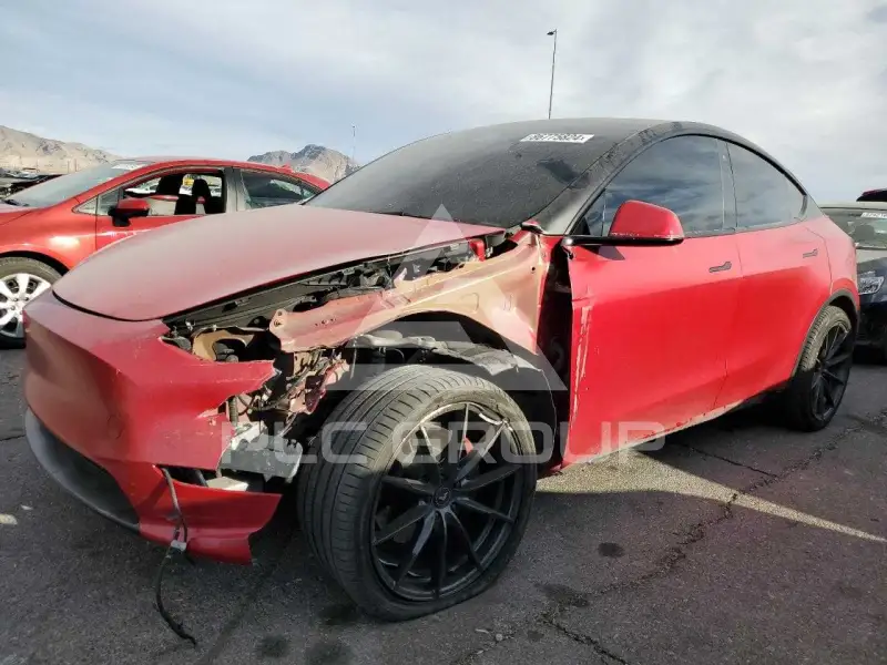 2021 Tesla Model Y фото