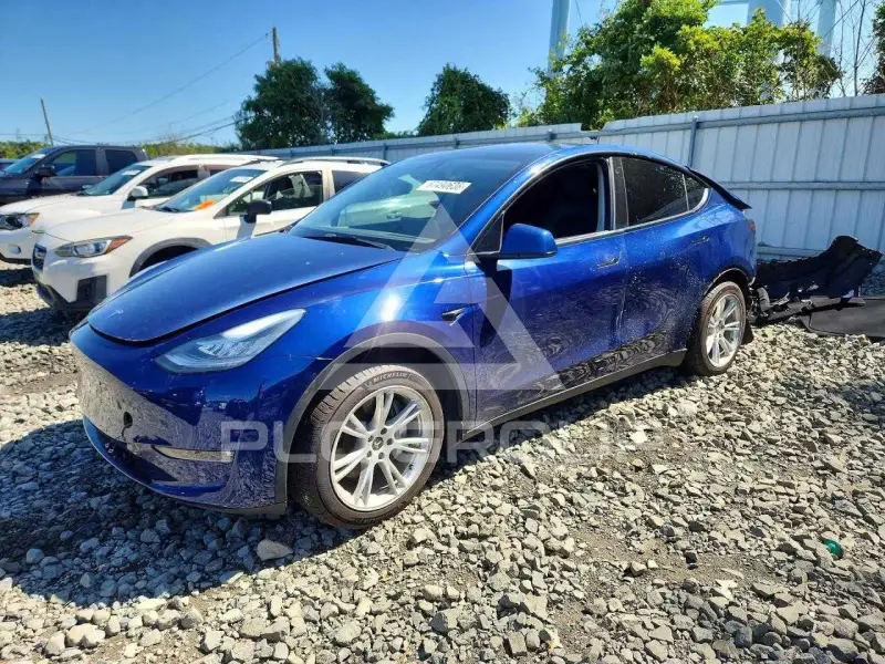 2021 Tesla Model Y фото