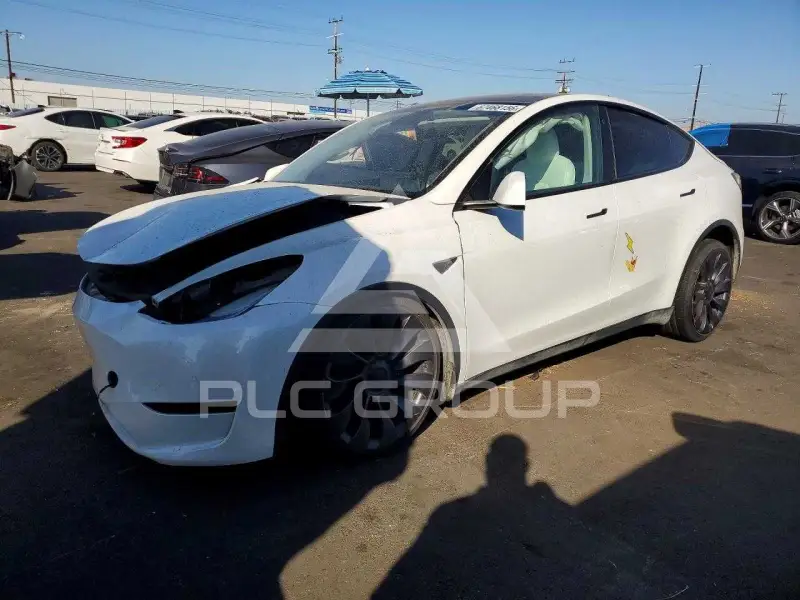 2021 Tesla Model Y фото