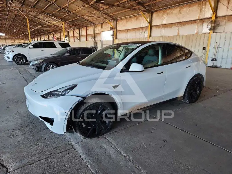 2021 Tesla Model Y фото