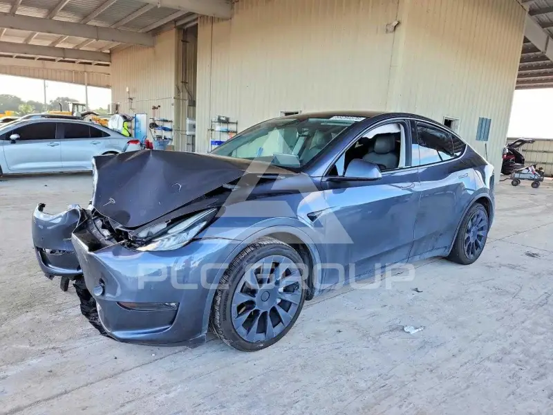 2021 Tesla Model Y photo