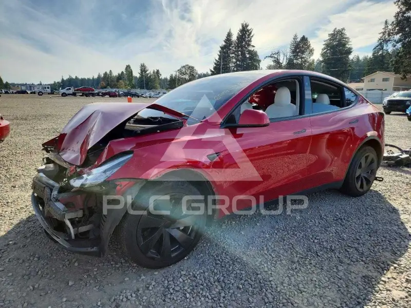 2021 Tesla Model Y фото