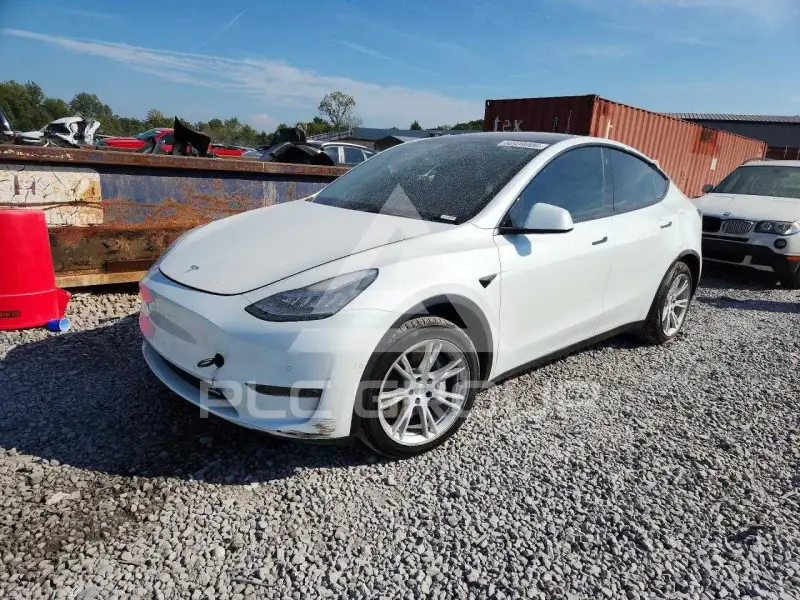 2021 Tesla Model Y фото