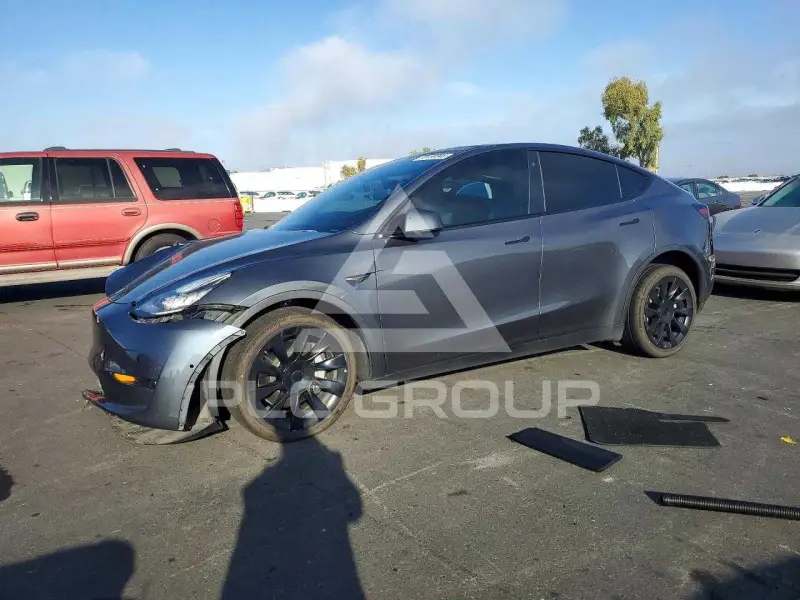 2021 Tesla Model Y фото