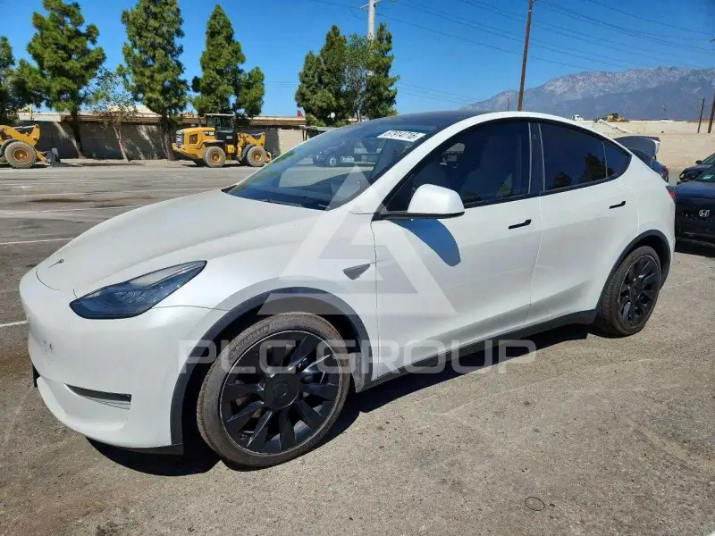 2021 Tesla Model Y фото