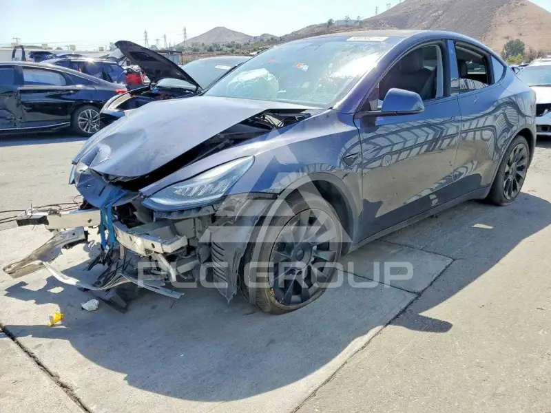 2021 Tesla Model Y фото