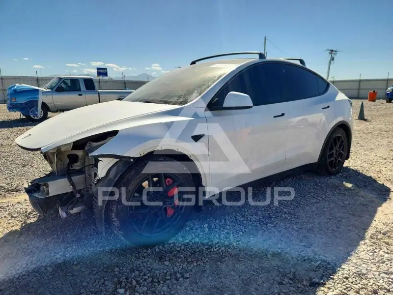 2021 Tesla Model Y photo