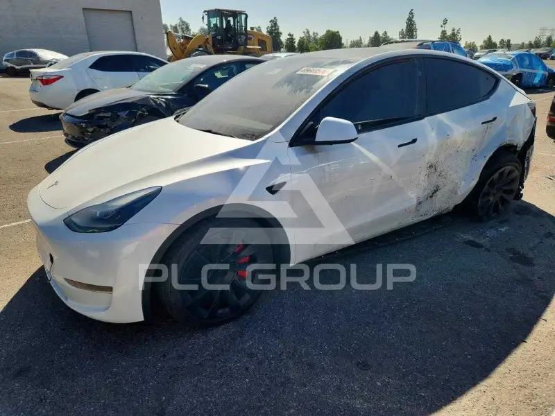 2021 Tesla Model Y фото