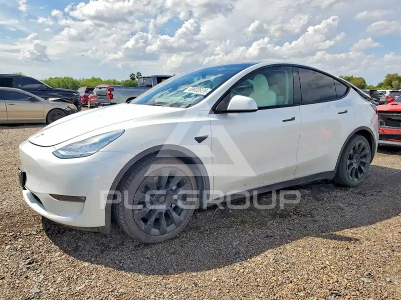 2021 Tesla Model Y фото