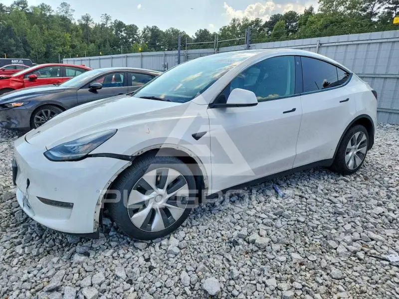 2021 Tesla Model Y фото