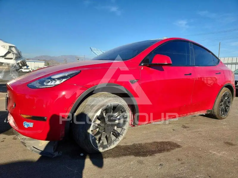 2021 Tesla Model Y photo