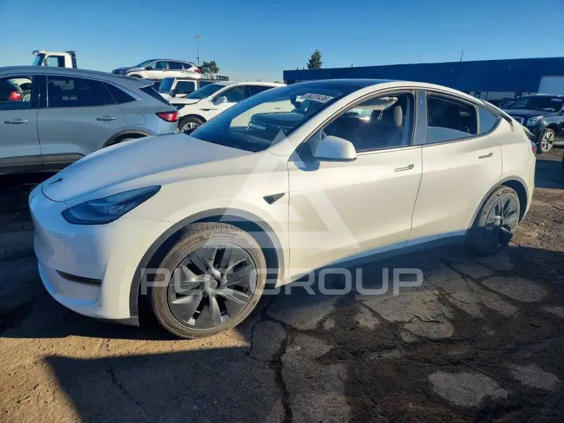 2021 Tesla Model Y photo