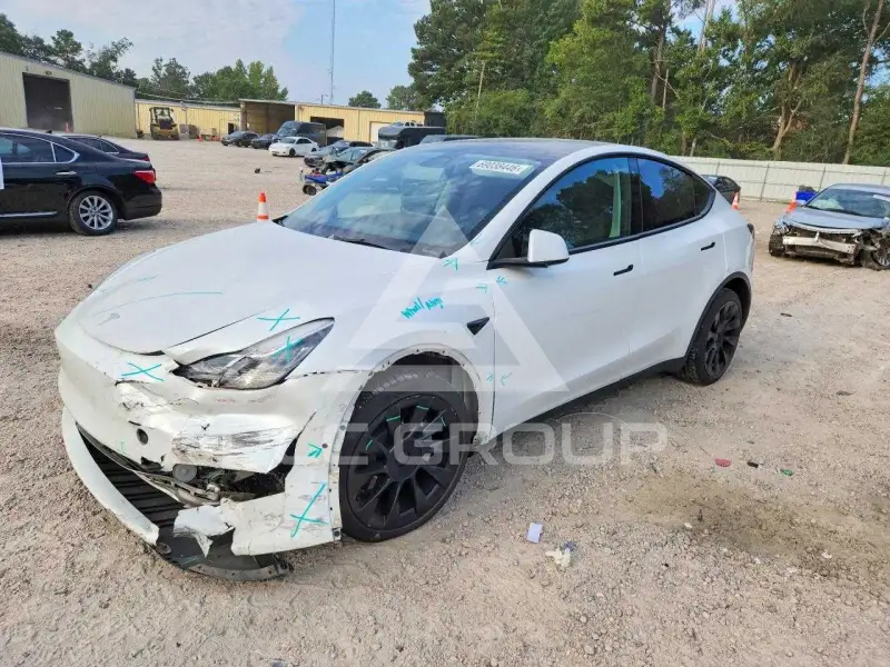 2021 Tesla Model Y фото