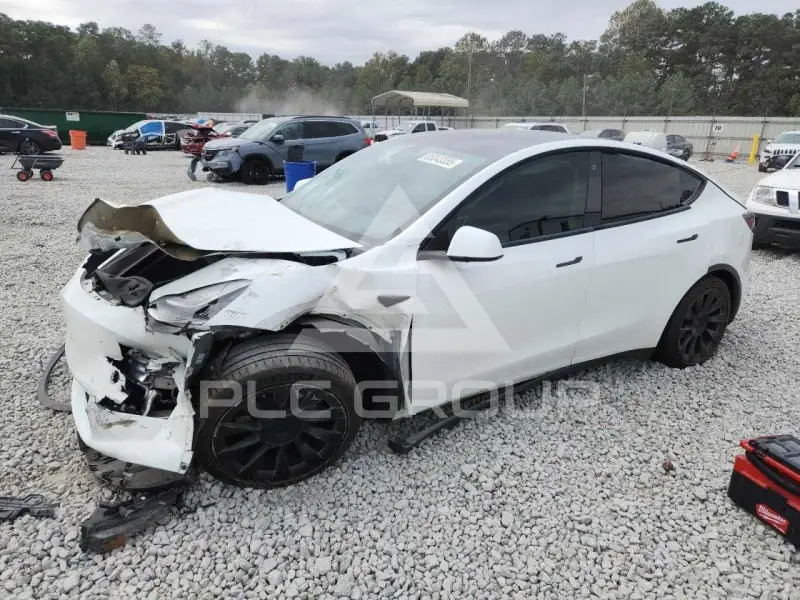 2021 Tesla Model Y photo