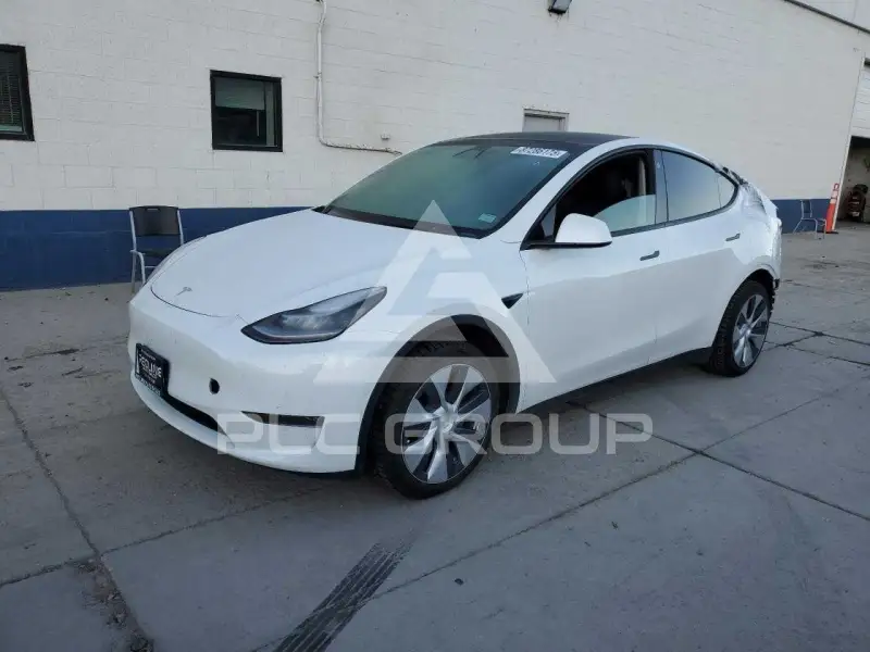 2021 Tesla Model Y photo