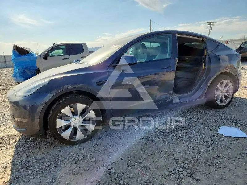 2021 Tesla Model Y фото