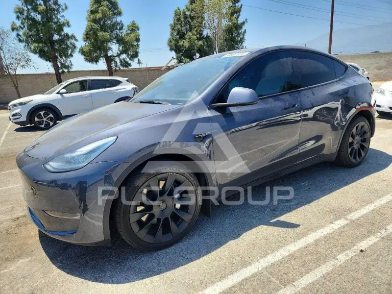 2021 Tesla Model Y фото