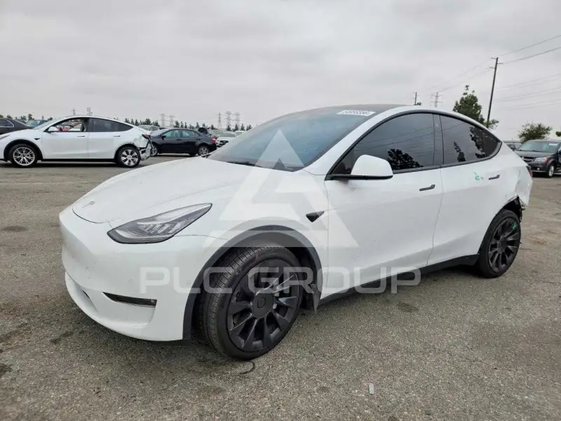 2021 Tesla Model Y photo