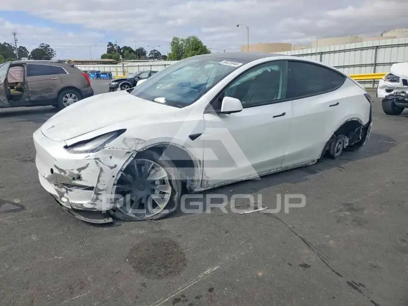 2021 Tesla Model Y photo
