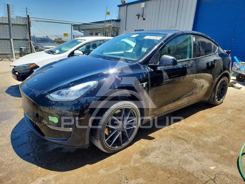 2021 Tesla Model Y фото