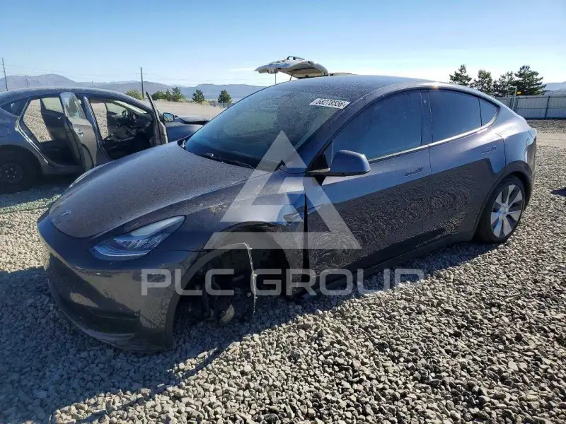 2021 Tesla Model Y photo