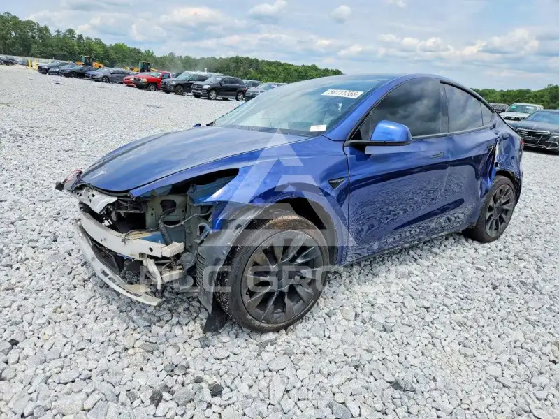 2021 Tesla Model Y фото