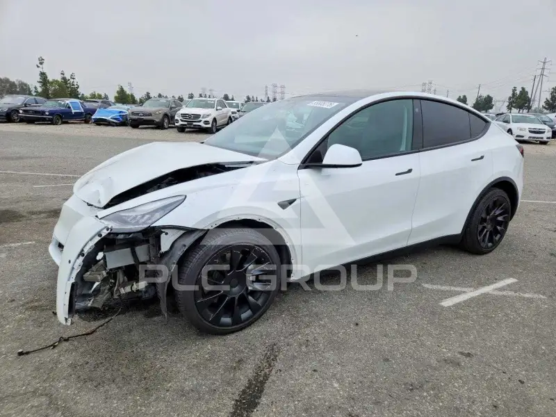 2021 Tesla Model Y фото