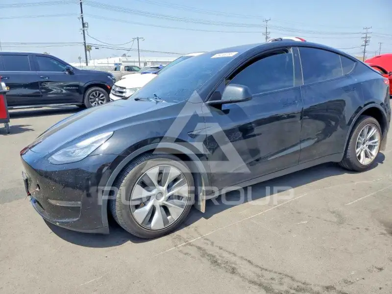 2021 Tesla Model Y фото