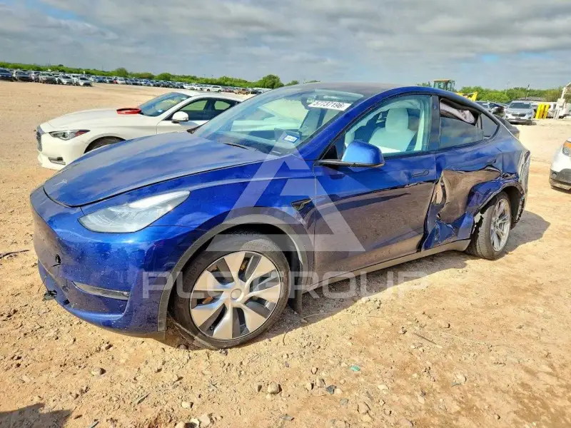 2021 Tesla Model Y photo