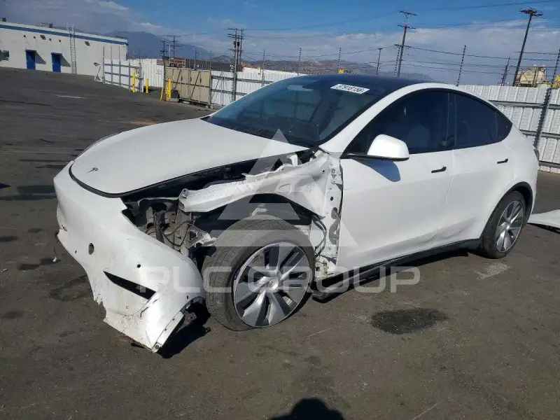 2021 Tesla Model Y фото