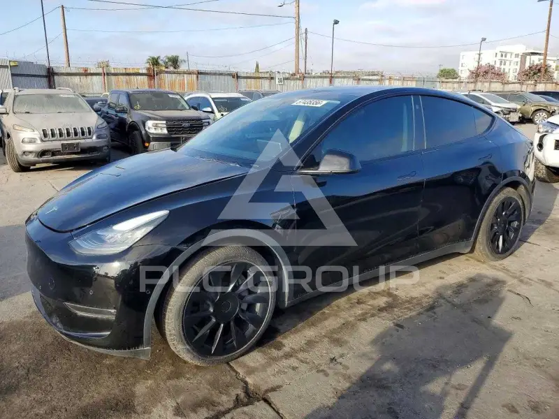2021 Tesla Model Y photo