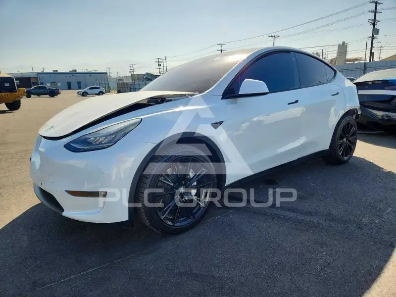 2021 Tesla Model Y фото