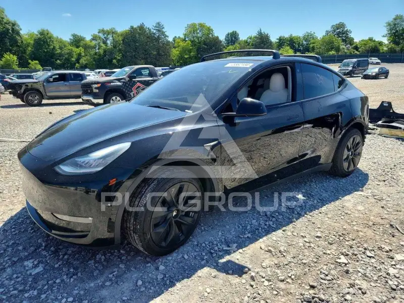2021 Tesla Model Y фото