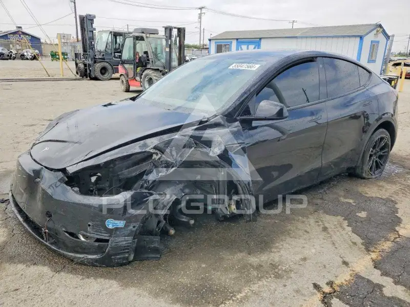 2021 Tesla Model Y фото