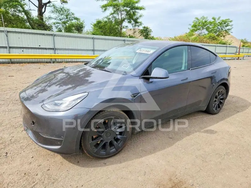 2021 Tesla Model Y photo