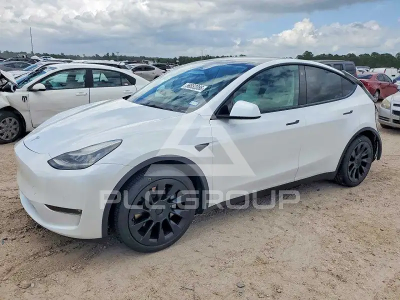 2021 Tesla Model Y photo