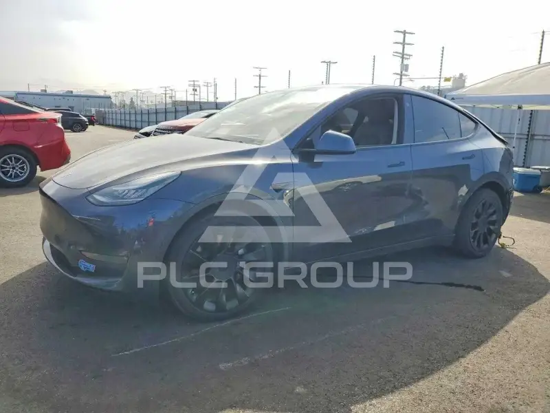 2021 Tesla Model Y фото