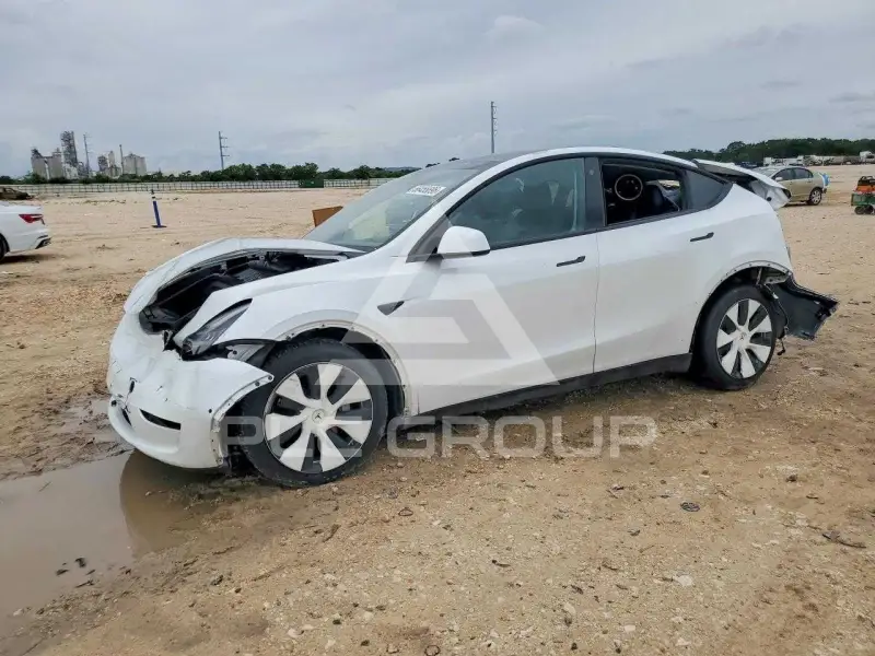 2021 Tesla Model Y photo
