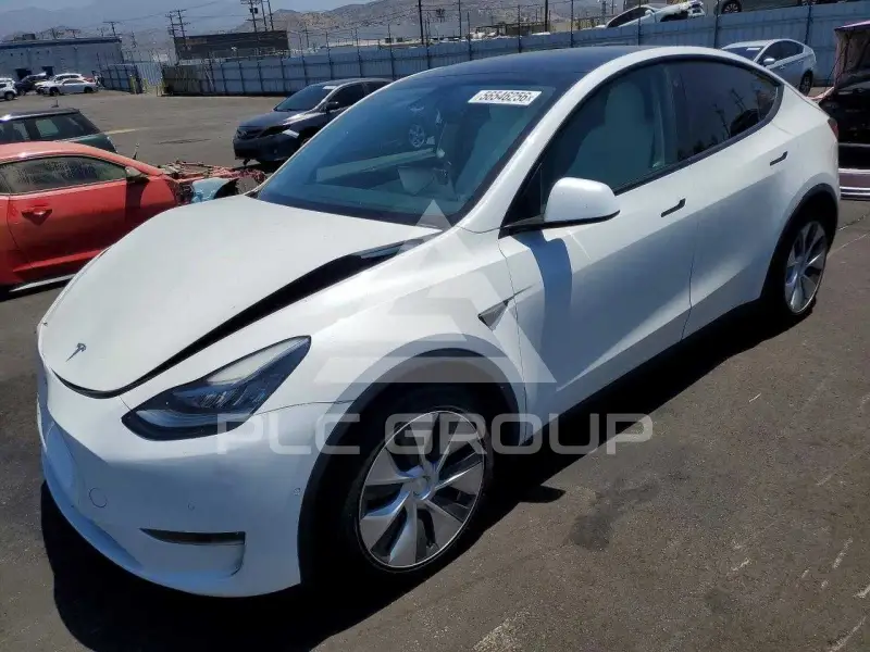 2021 Tesla Model Y фото