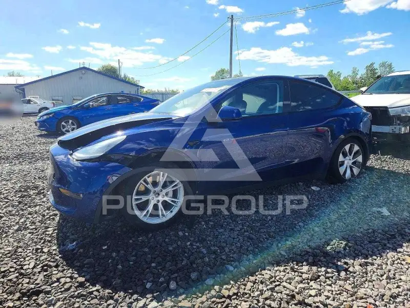 2021 Tesla Model Y фото