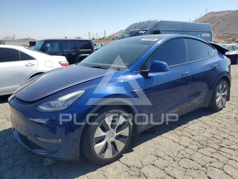 2021 Tesla Model Y фото