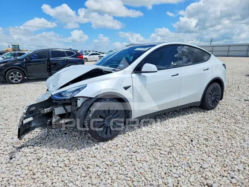 2021 Tesla Model Y photo