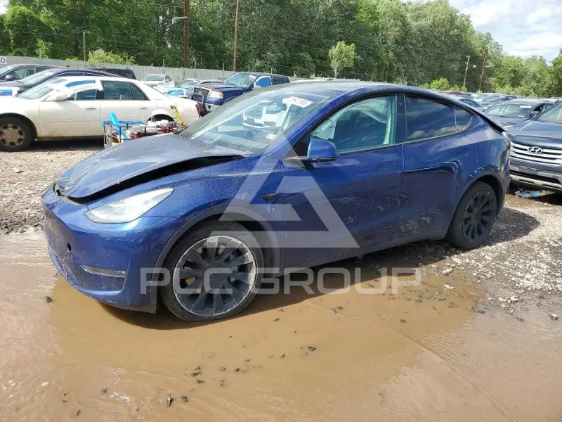 2021 Tesla Model Y фото